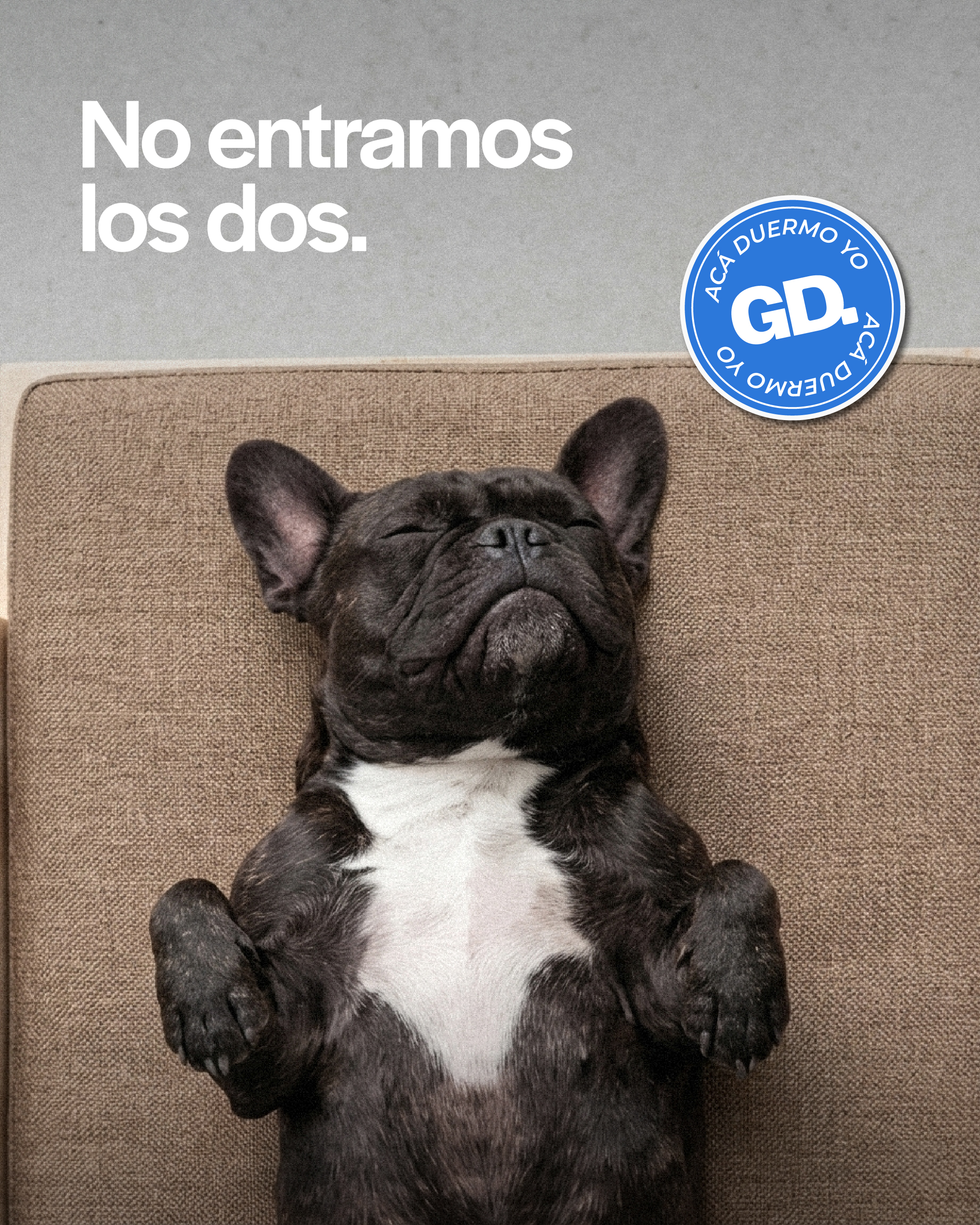 grandanés studio